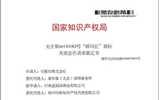 严厉打击仿冒品，维护消费者权益！